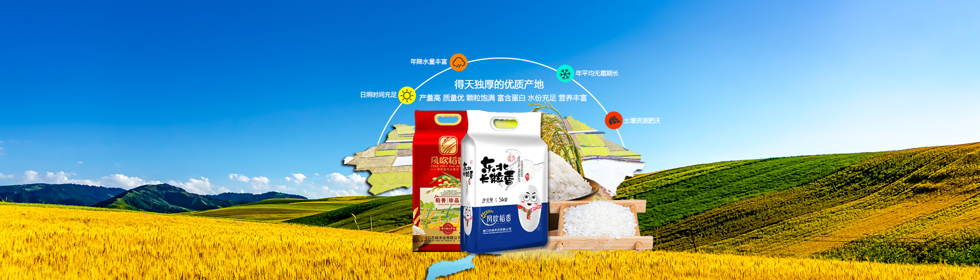 无公害大米